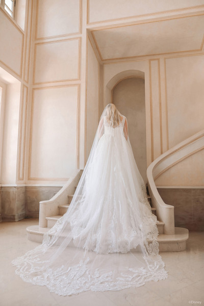 Allure Bridals Dresses Bridal Accessories DV40 - Cinderella Veil