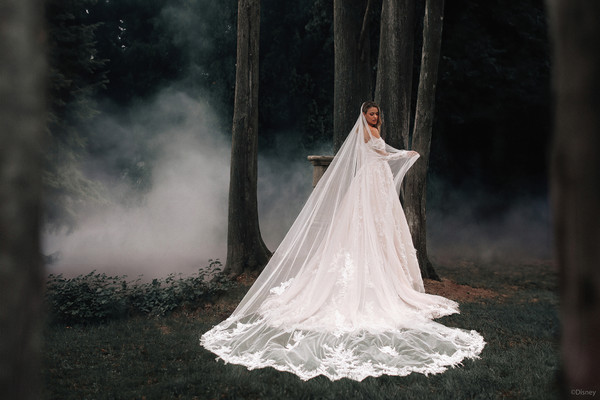 Allure Bridals Dresses Bridal Accessories DV41 - Aurora Veil