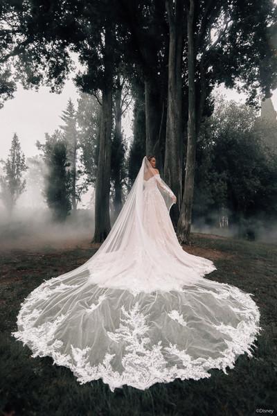 Allure Bridals Dresses Bridal Accessories DV41 - Aurora Veil