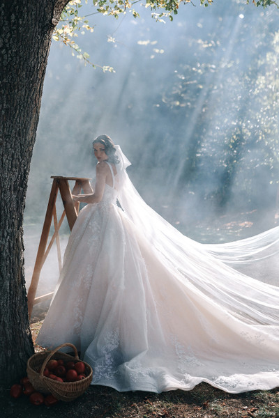 Allure Bridals Dresses Bridal Accessories DV49 - Veil