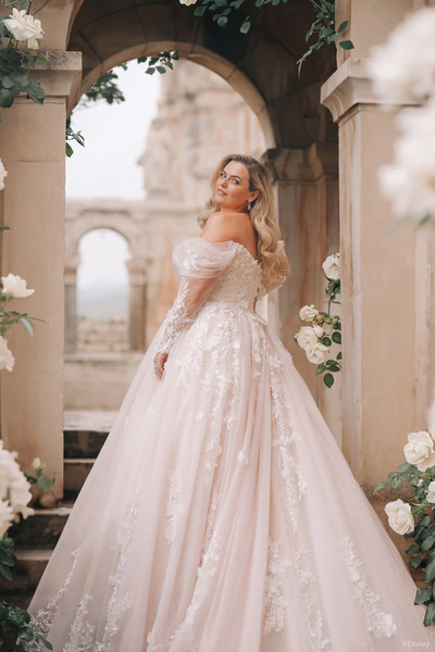 Allure Bridals Dresses Disney Fairy Tale Wedding Dresses DP421 - Aurora