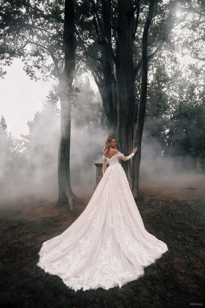 Allure Bridals Dresses Disney Fairy Tale Wedding Dresses DP421 - Aurora