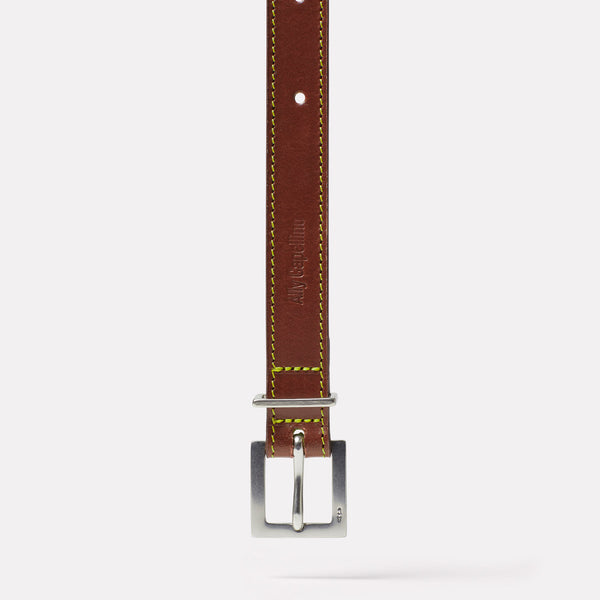 Ally Capellino Pierce Leather Belt In Carob And Frog