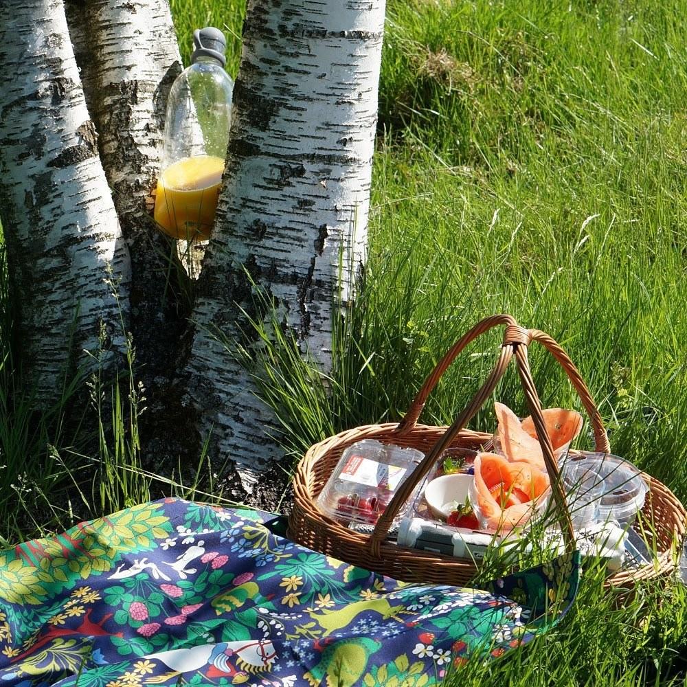 Alo Yoga Jakten Fabric Blue