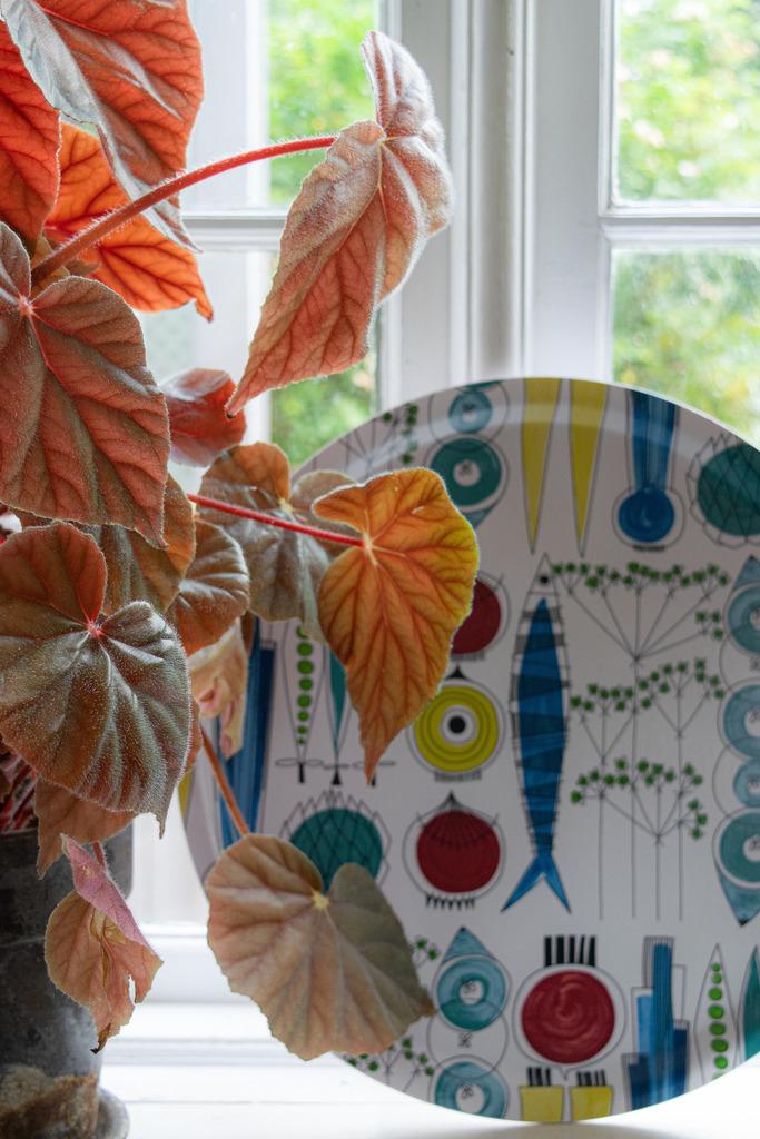 Alo Yoga Picknick Round Tray Multi 38cm