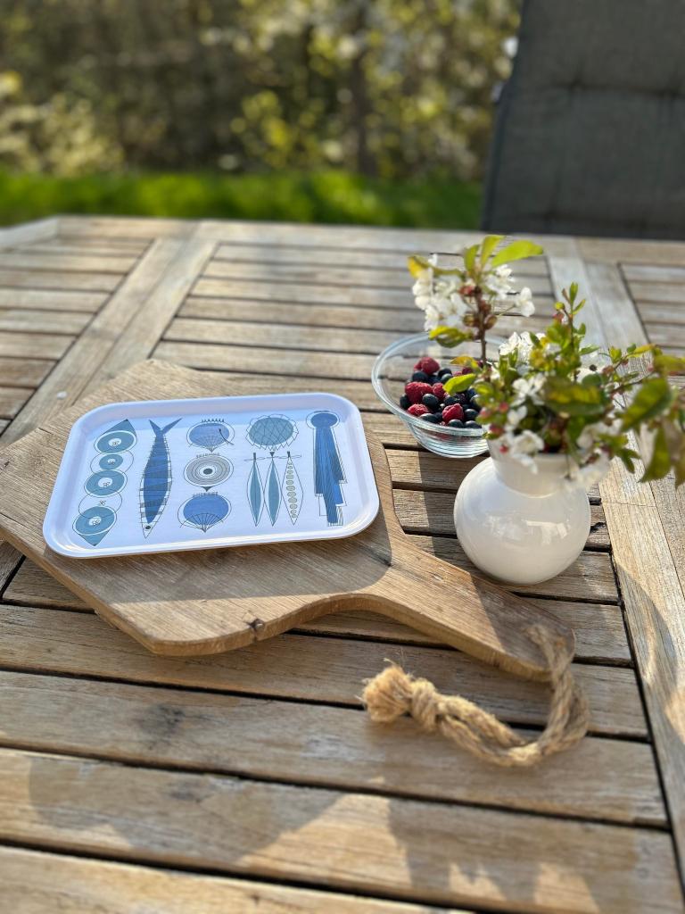 Alo Yoga Picknick Tray Blue Beige 27x20cm