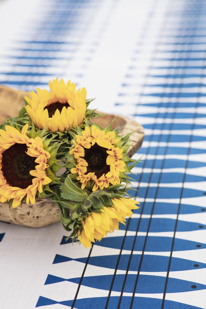 Alo Yoga Sill Table Cloth Blue