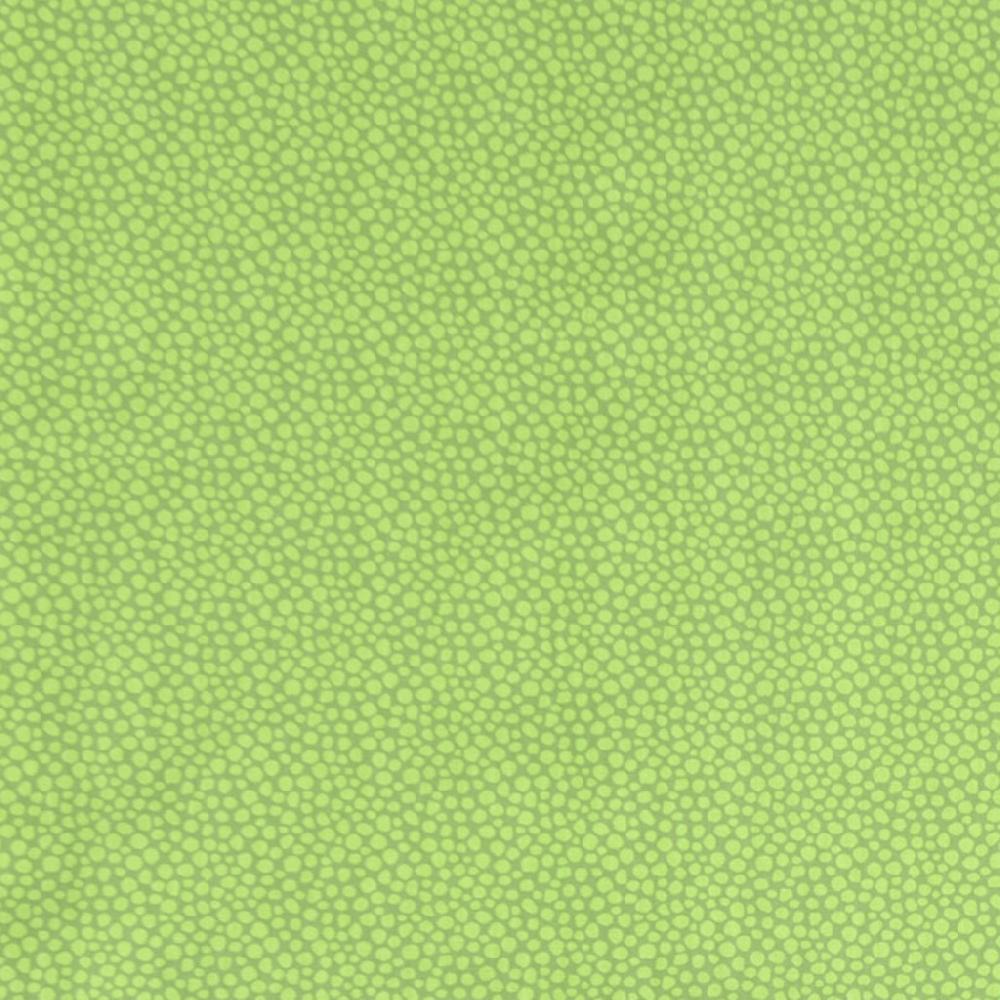 alo yoga Ton oil cloth fabric green