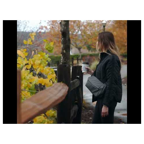 Alps Mountaineering Daypacks Trove Storm Gray