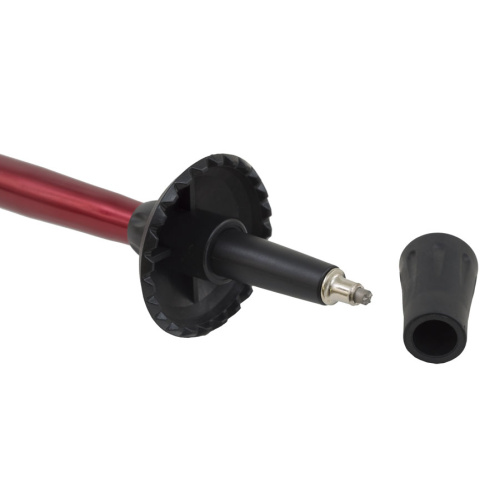 Alps Mountaineering More Gear Conquest Trekking Pole Clear