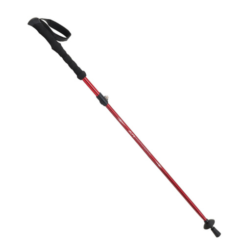 alps mountaineering More Gear Conquest Trekking Pole Clear