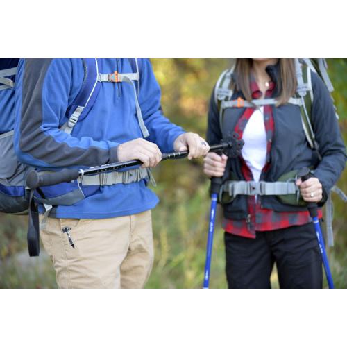Alps Mountaineering More Gear Explorer Trekking Pole Black