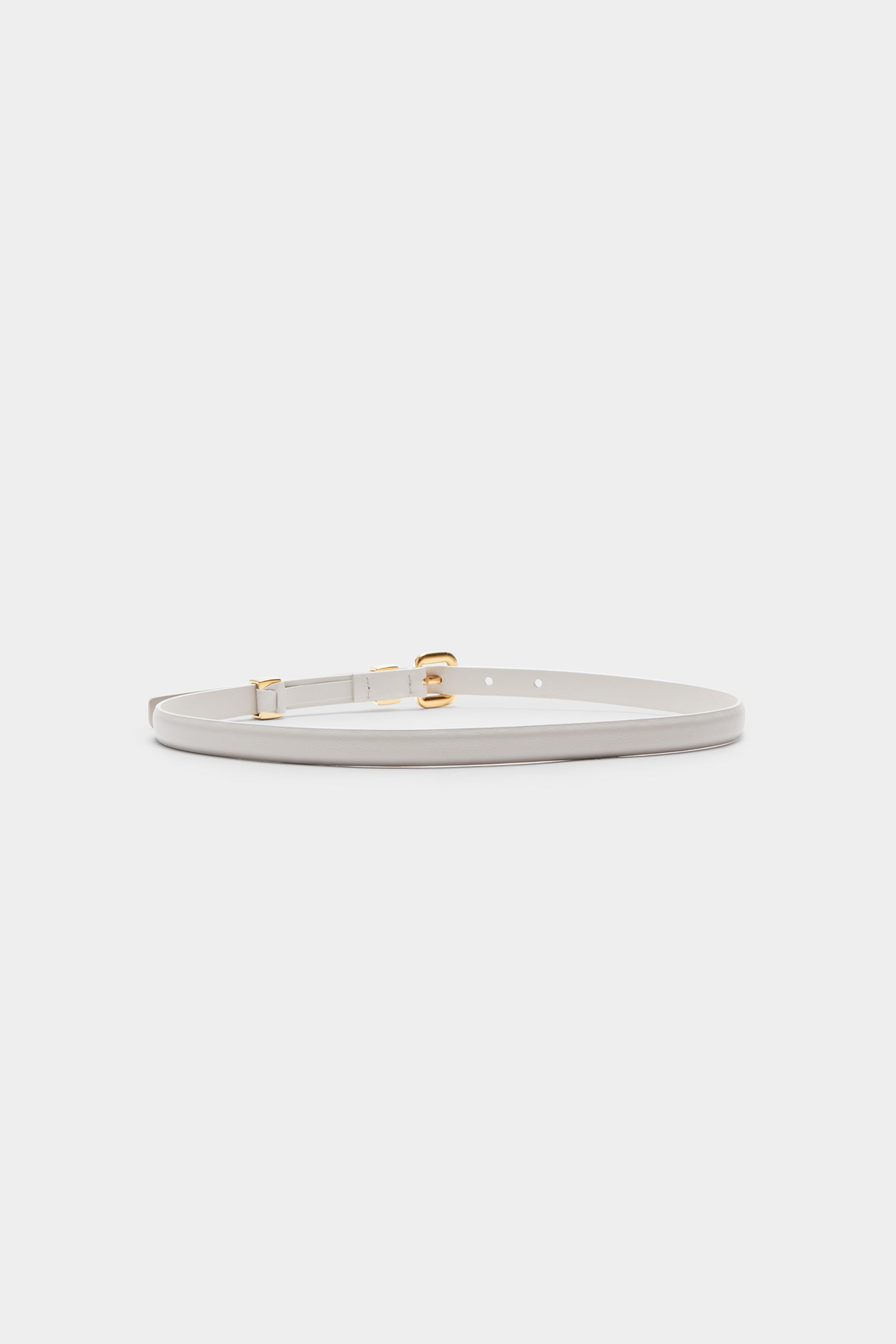 Altuzarra Skinny Belt Ivory