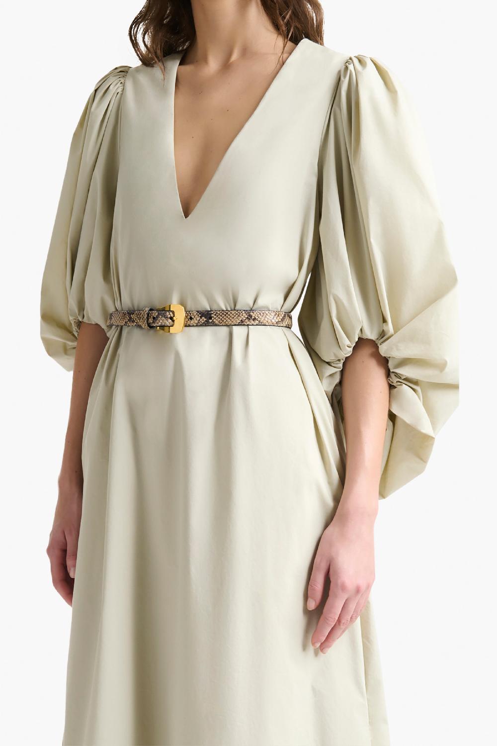 altuzarra Square Buckle Belt Phyton Macchia