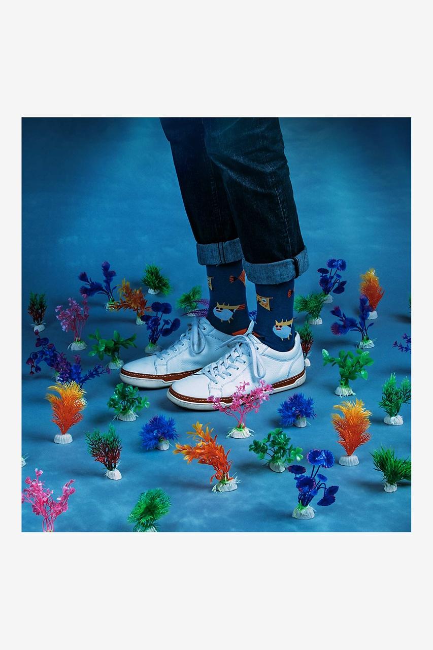 Alynn Alynn® X Owen Davey Fish Navy Blue Sock