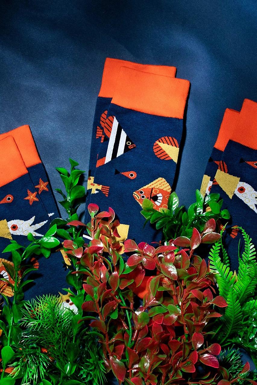 Alynn Alynn® X Owen Davey Fish Navy Blue Sock