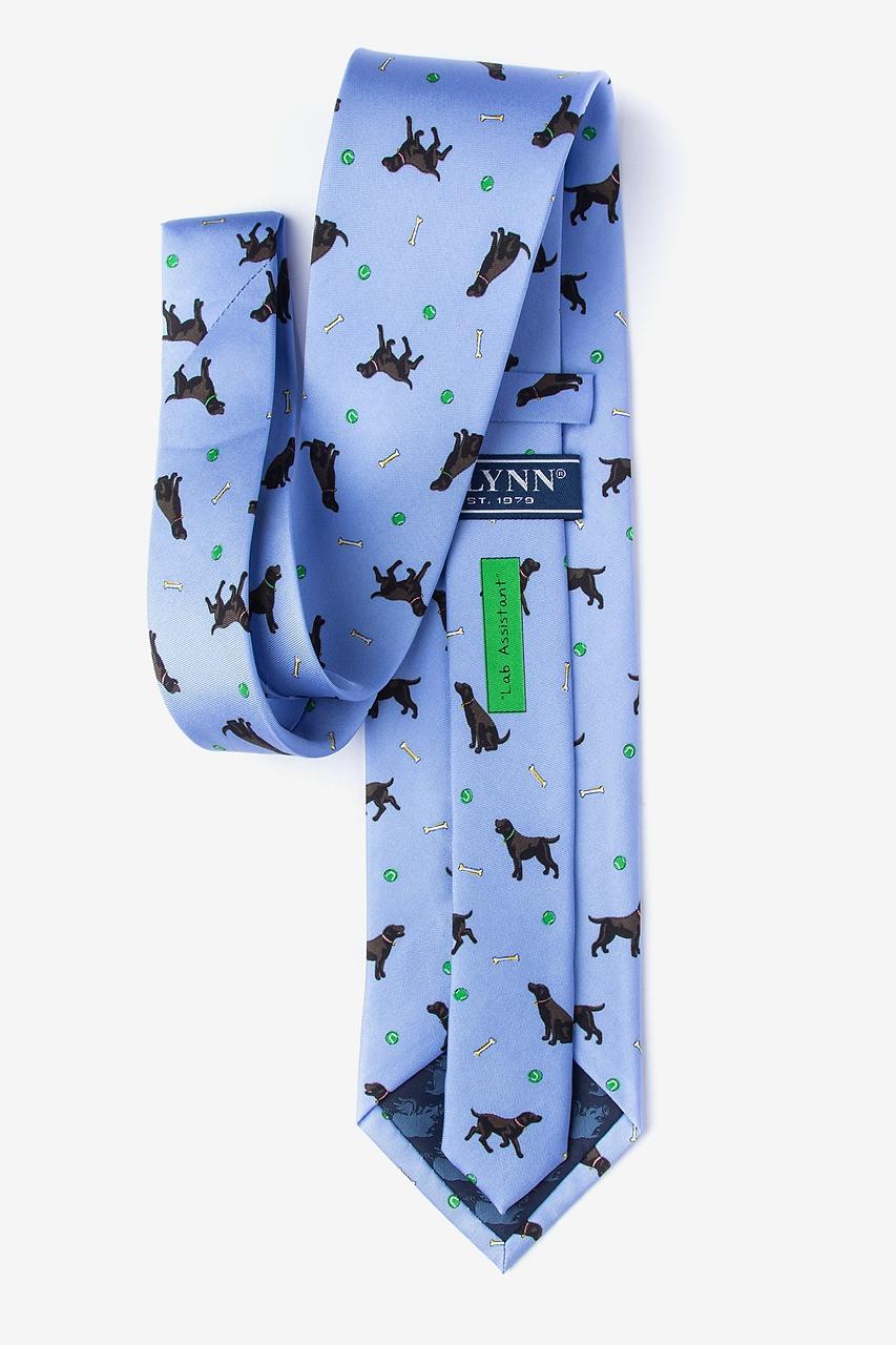 Alynn Lab Assistant Light Blue 100% Silk Tie