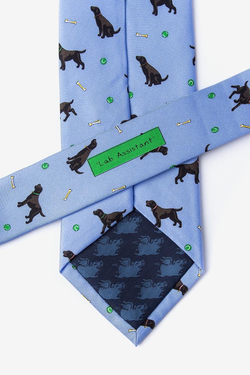 Alynn Lab Assistant Light Blue 100% Silk Tie