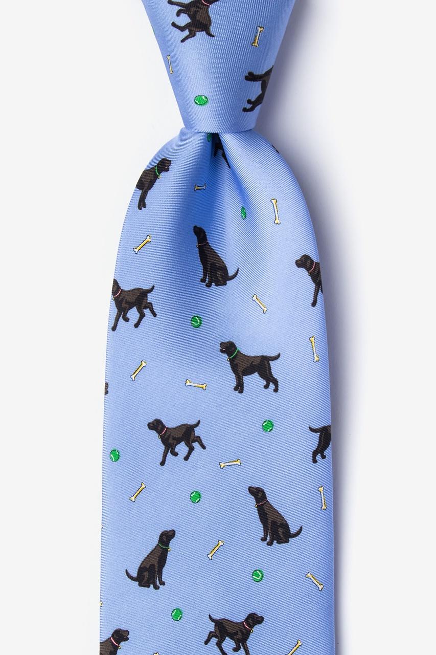 alynn Lab Assistant light blue 100% silk Tie