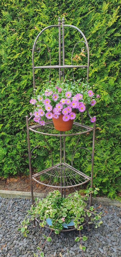 Ambiente Haus Corner Shelf With 4 Tiers - Antq Brown