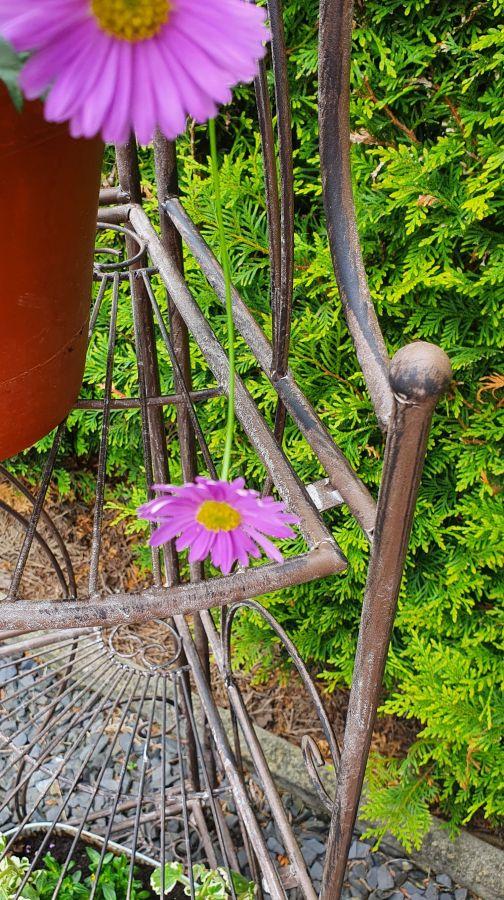 Ambiente Haus Corner Shelf With 4 Tiers - Antq Brown