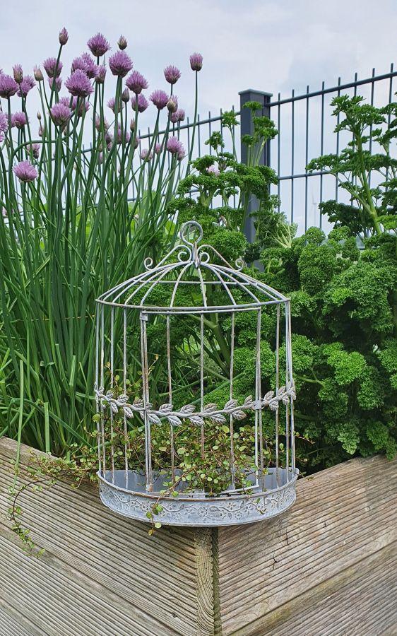 Ambiente Haus Hanging Plant Cage