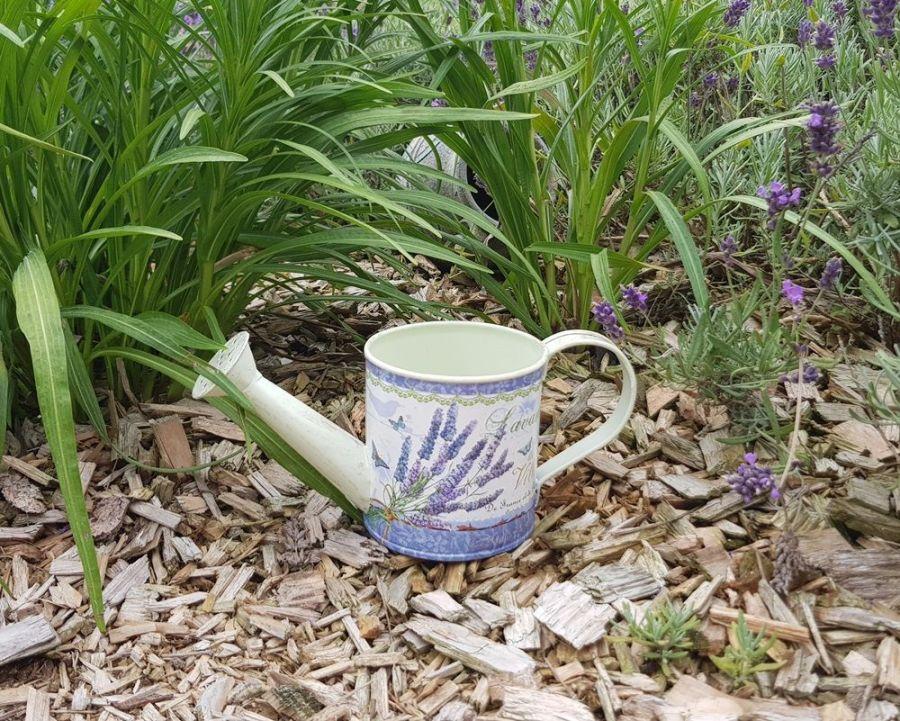 Ambiente Haus Lavender Small Metal Watering Can