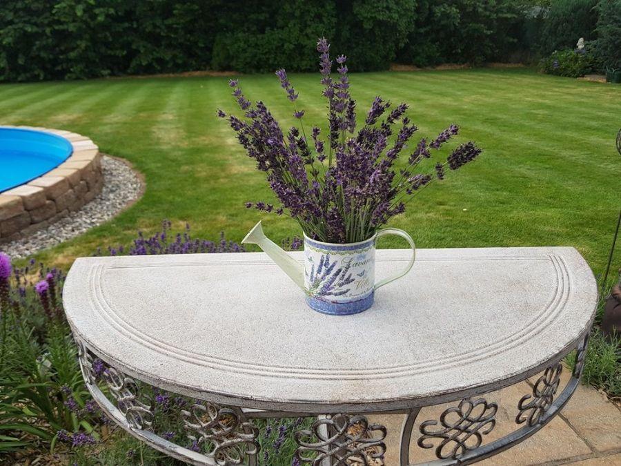 Ambiente Haus Lavender Small Metal Watering Can