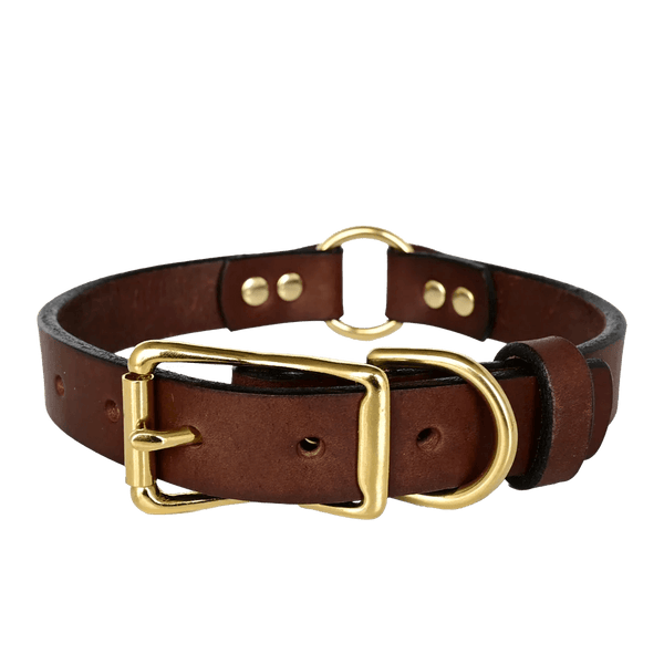 american bench craft Hunting Dog Collar