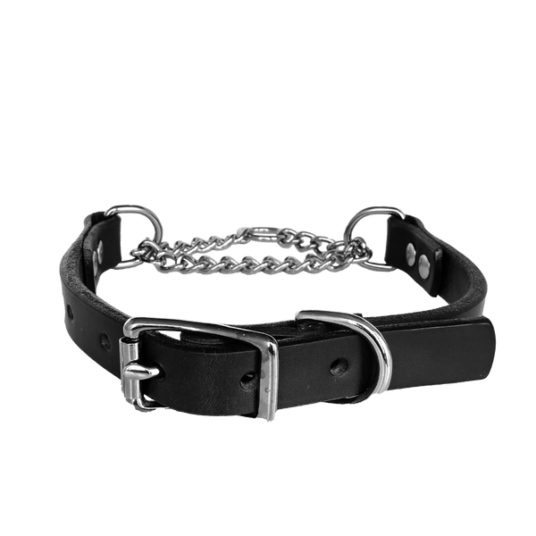 American Bench Craft Martingale Dog Collar