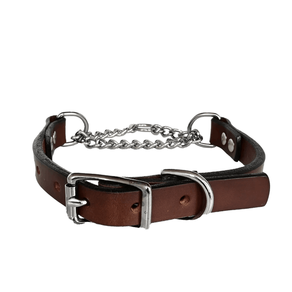 american bench craft Martingale Dog Collar