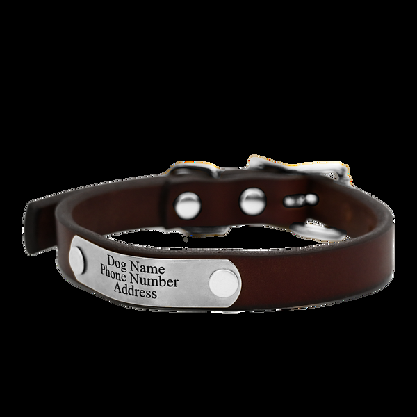 American Bench Craft Personalized Small Dog Collar