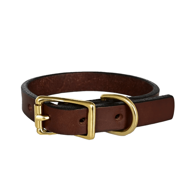 american bench craft Small Dog Collar