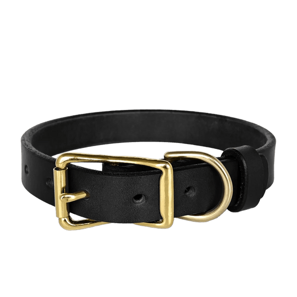 American Bench Craft Standard Dog Collar