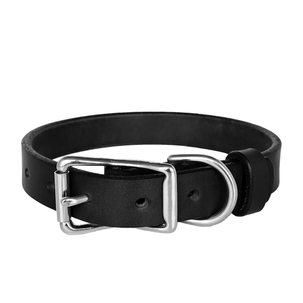 American Bench Craft Standard Dog Collar
