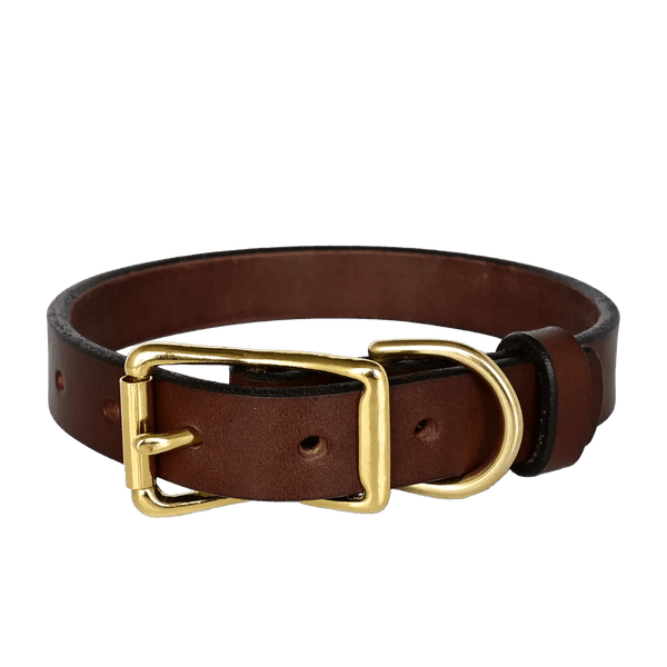 american bench craft Standard Dog Collar