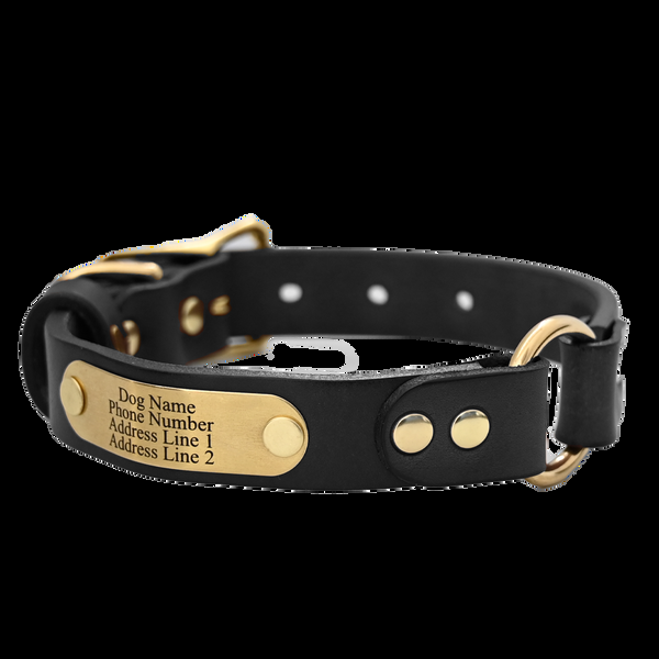 American Bench Craft Personalized Hunting Dog Collar