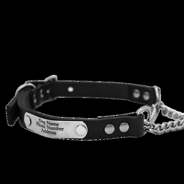 American Bench Craft Personalized Martingale Dog Collar