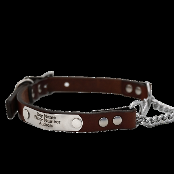 american bench craft Personalized Martingale Dog Collar