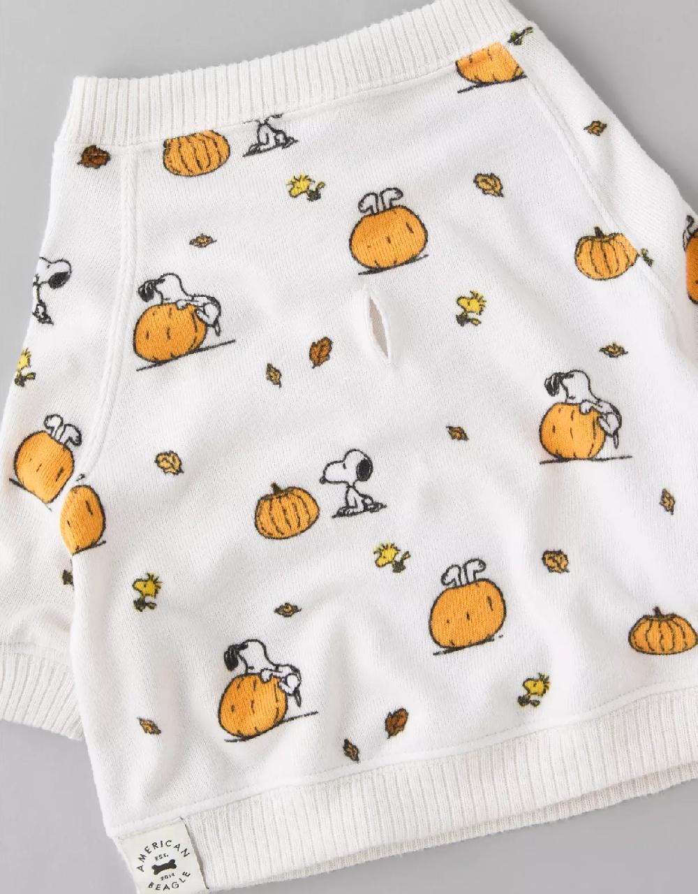 American Eagle ABO Snoopy Pumpkin Plush Dog PJ Set