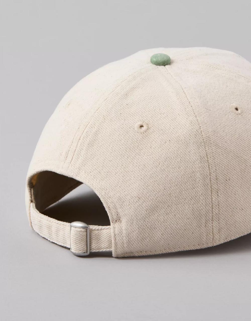 American Eagle AE Destination Baseball Hat