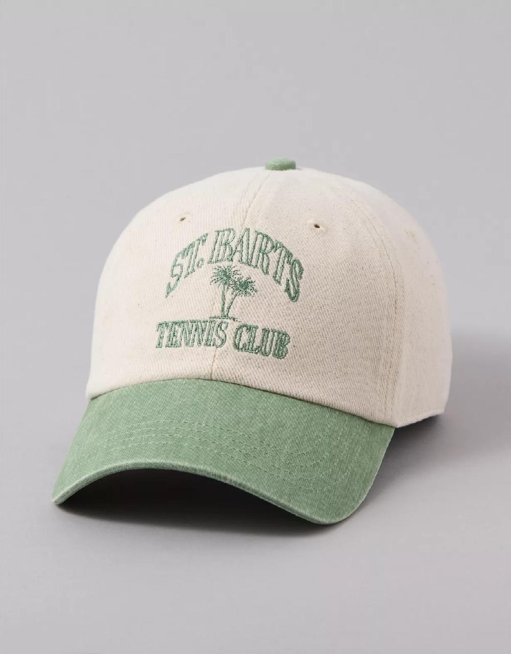 american eagle AE Destination Baseball Hat