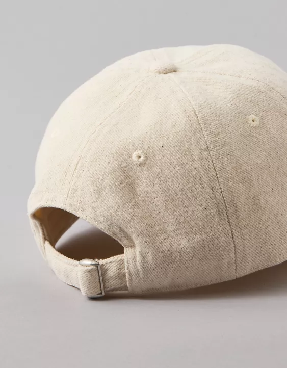 American Eagle AE Destination Graphic Baseball Hat