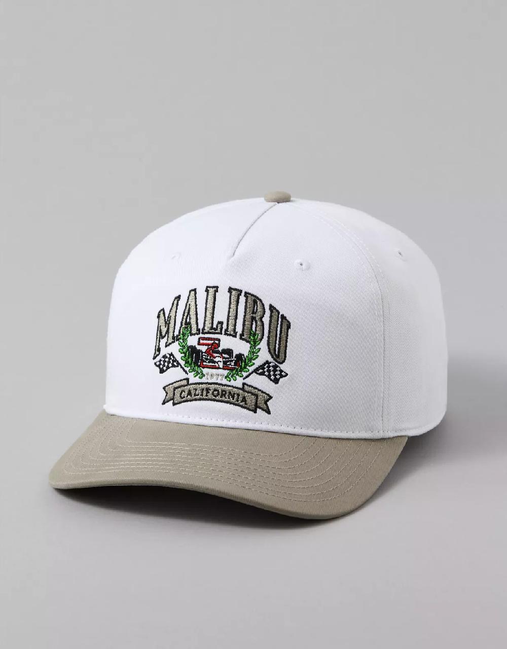 american eagle AE Destination Graphic Baseball Hat