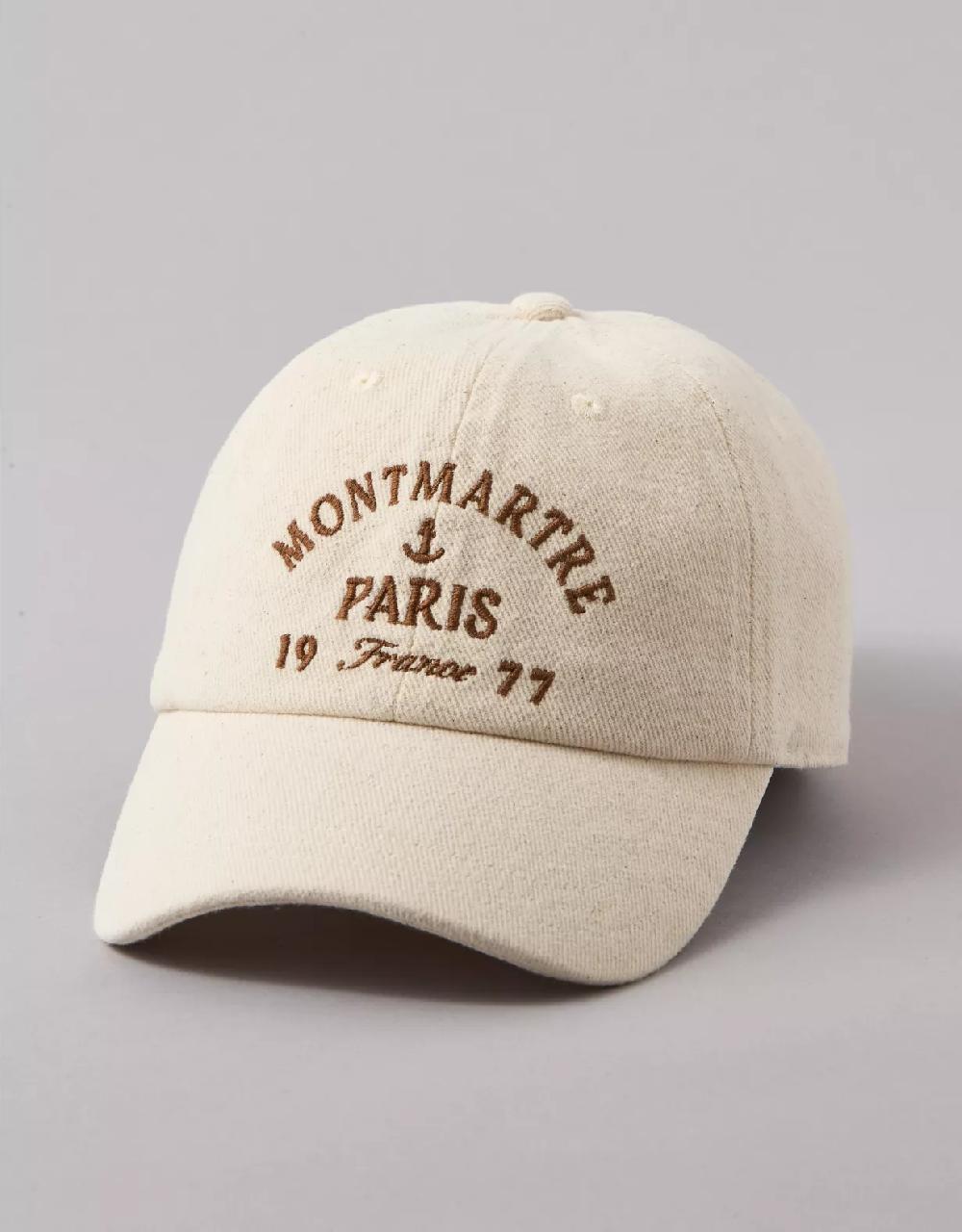 american eagle AE Destination Graphic Baseball Hat