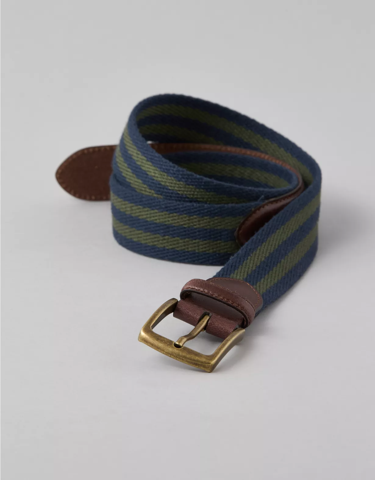 american eagle AE Striped Webbed Belt
