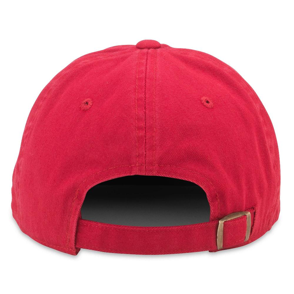 American Needle Ballpark – Pickle Ball