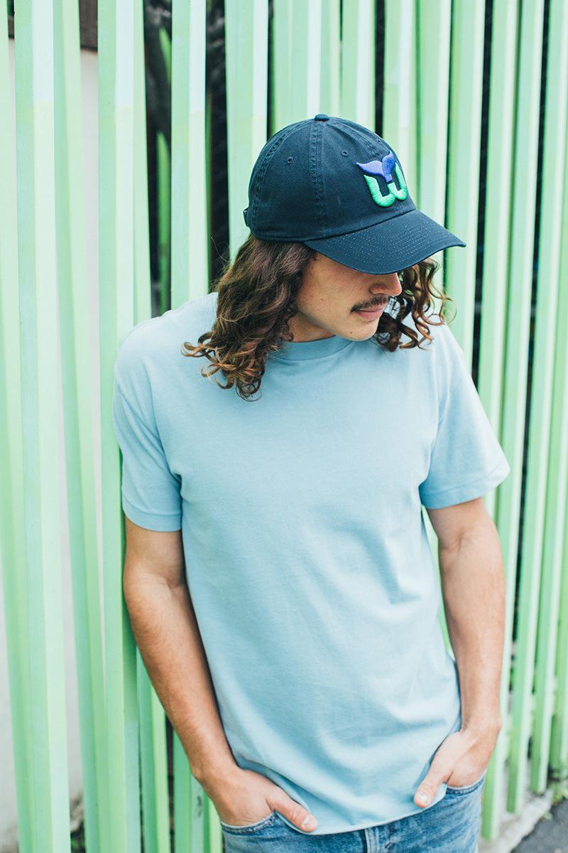 American Needle Blue Line Hat – Hartford Whalers