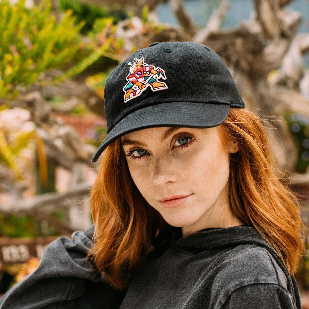 American Needle Blue Line Hat – Phoenix Coyotes