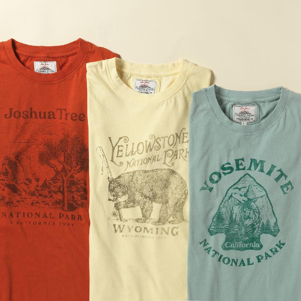 American Needle Vintage Fade Brass Tacks Shirt – Joshua Tree National Park